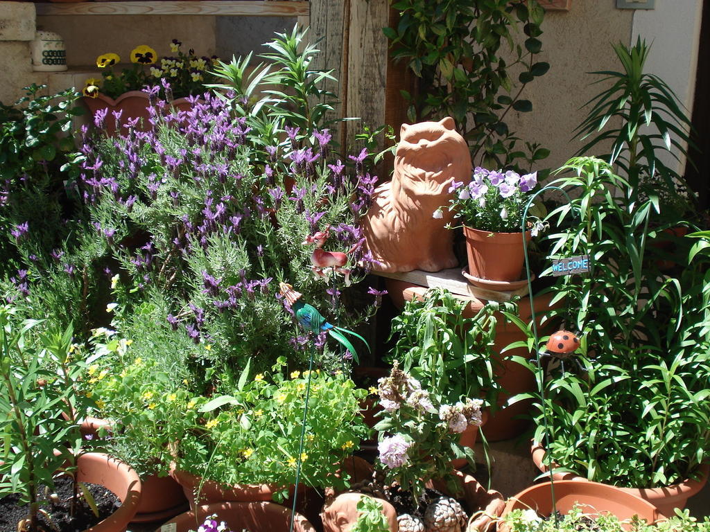 Abruzzo Segreto Bed & Breakfast Navelli Luaran gambar