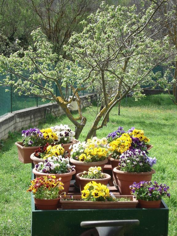 Abruzzo Segreto Bed & Breakfast Navelli Luaran gambar