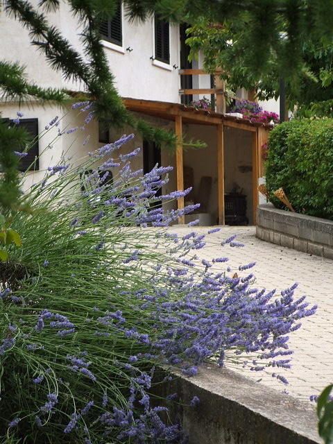 Abruzzo Segreto Bed & Breakfast Navelli Luaran gambar